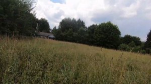 Бывший пионерский лагерь Кудрявцево, Кольчугинский район 2021