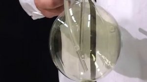 Хлорирование бензола (получение гексахлорана)