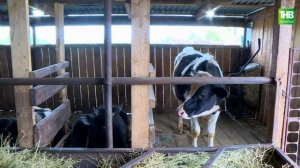 Туган жир  03_06_2022