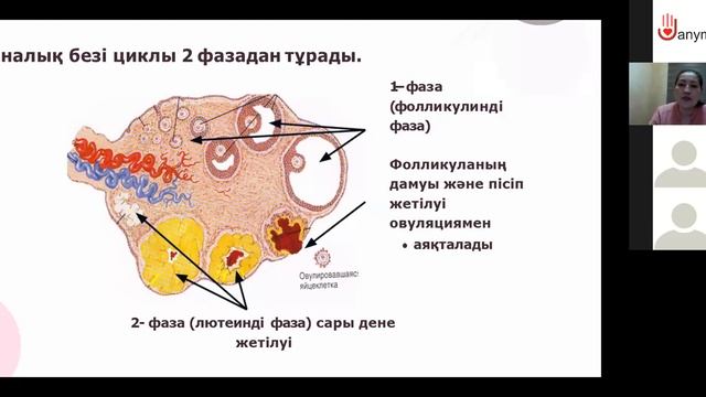Порно видео Ростов облысы