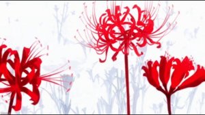 ♡ PHARAOH - Unplugged 2: love kills (sped up) ♡