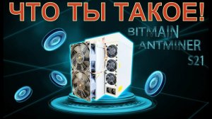 Antminer S21. Что необходимо знать о нем? Обзор и тест от VNISH NET