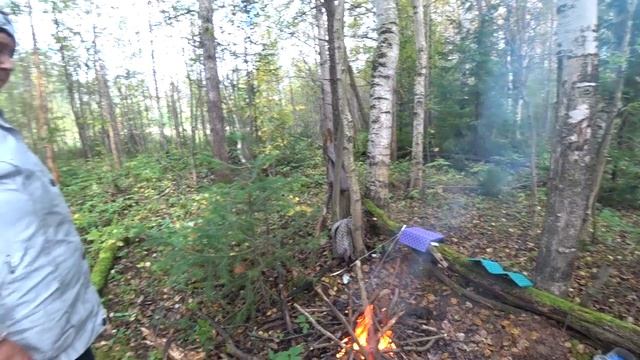 В лес за грибами. Костер.Привал. Сентябрь. смотреть онлайн