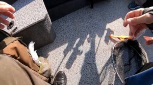 Трофейная рыбалка на Веселовском водохранилище, лодка Girgis 390