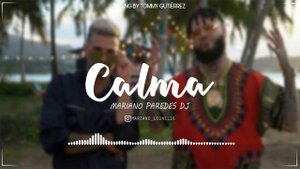 🌴 Calma (Remix) - Pedro Capo & Farruko | Mariano Paredes DJ