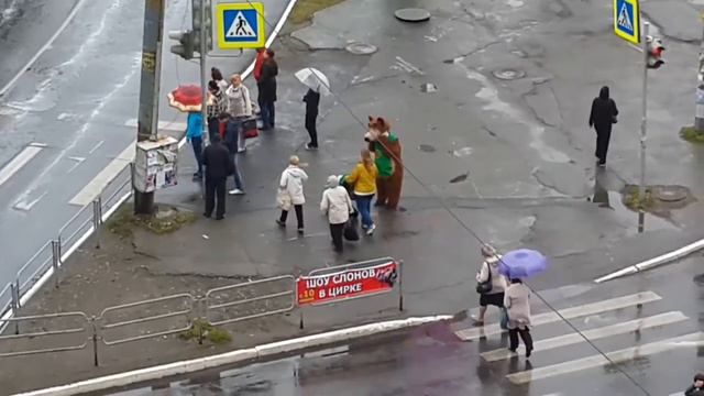 Мишка из Челябинска смотреть онлайн