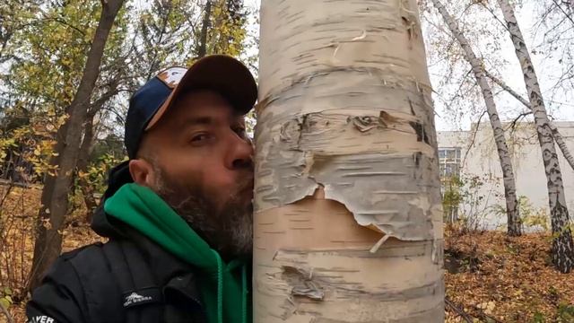 Анонс необычного Путешествия по Алтаю? #подаридерево смотреть онлайн