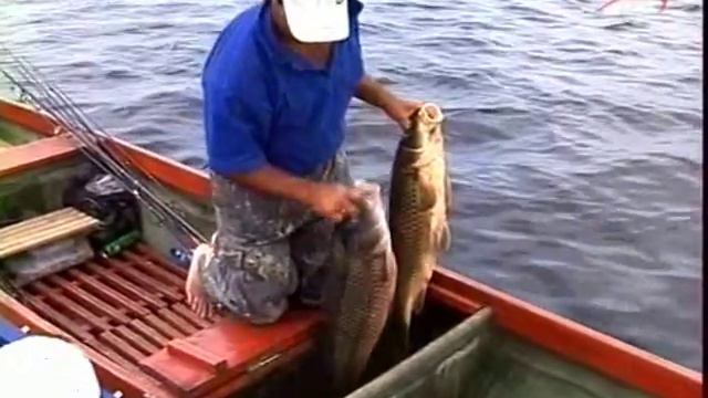 Диалоги о рыбалке №31. Рыбалка на мошку смотреть онлайн