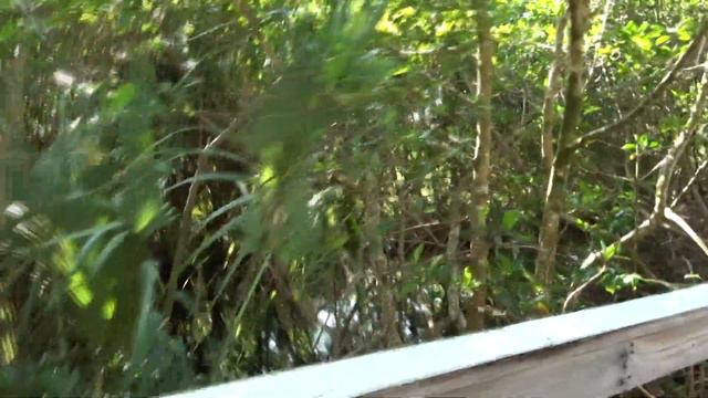 These Last Few Months (Paulina Andreeva :. Closer :. Паулина Андреева) смотреть онлайн