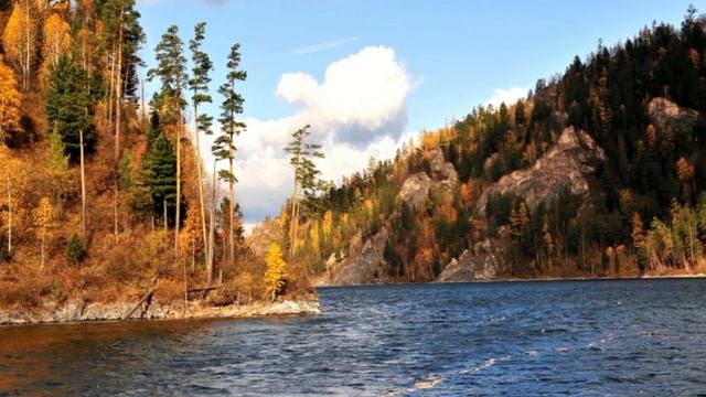 БИРЮСИНСКИЙ ЗАЛИВ часть 1 смотреть онлайн