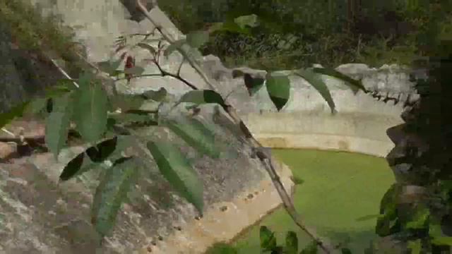 Зоопарк Кхао Кхео смотреть онлайн