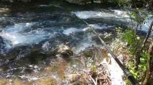 В Кыргызстана рыбалка на усач.маринка