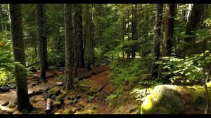 Вселенная Любит Тебя!