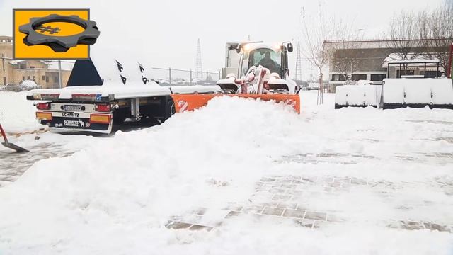 Snow Schaeffer смотреть онлайн