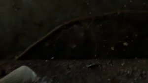 20220922015233_3840x2160_alq-13_3840x2160_ahq-12