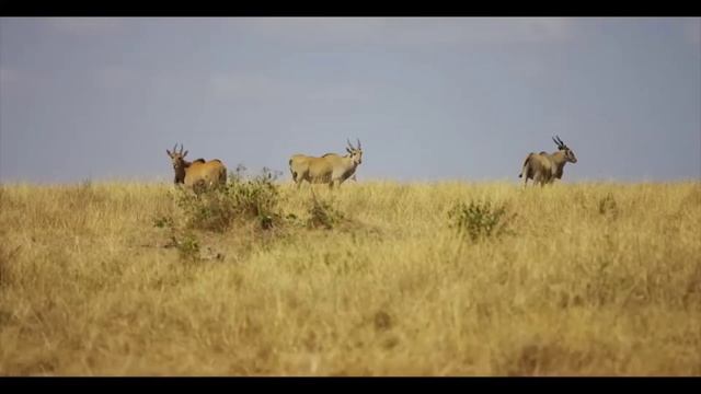 Аудио Книга | Саморазвитие На Каждый день! Понедельник | ? | смотреть онлайн