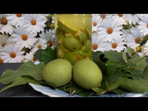 Настойка из грецкого ореха !От Гипотериоза, Атеросклероза, Артрита....