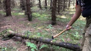 Тестирование топора Husquarna