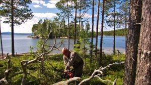 Северная Карелия п. Зашеек, Пяозеро. Июль 2015г.