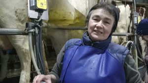 Запуск коров