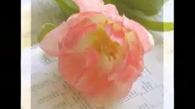 Весна В Каракулино 0001 смотреть онлайн