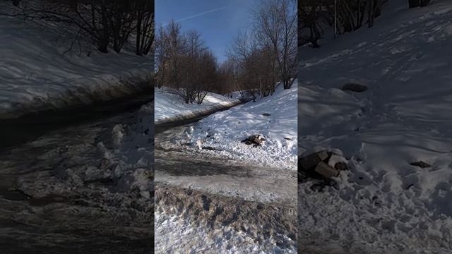 ❄ Удальцовские Пруды : место перетекания ЗАО в ЮЗАО • Проспект Вернадского 2022