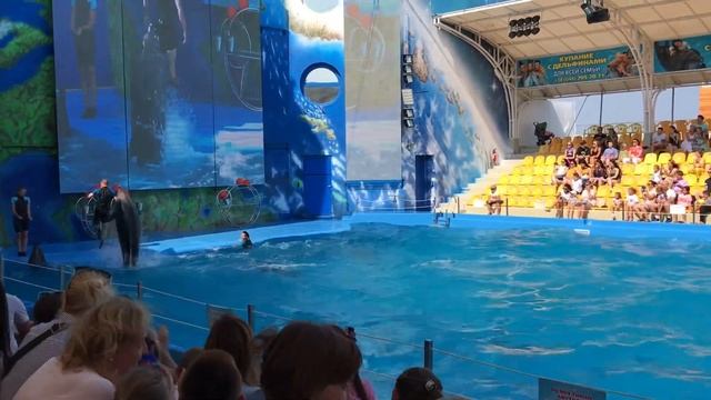 Дельфинарий "Немо" ?Одесса ? смотреть онлайн