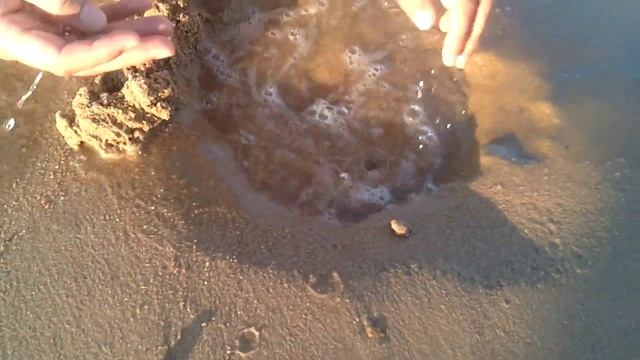 Ищем моллюсков во Вьетнаме смотреть онлайн