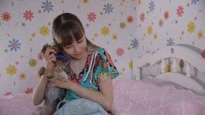 Что нужно взять на прогулку с собакой?