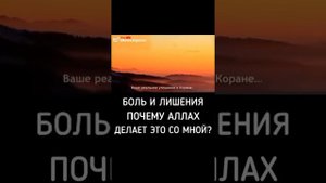 Боль и лишение Почему Аллах делает Это со мной