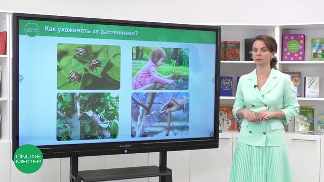 2 класс. Естествознание.1 урок. Как сохранить мир растений? смотреть онлайн