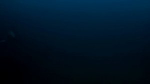 КТО ЖИЛ НА ЗЕМЛЕ ДО ДИНОЗАВРОВ?