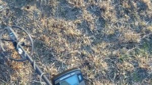 Тест Интроник (5/40кГц) vs Equinox по удельной монете. Часть 1