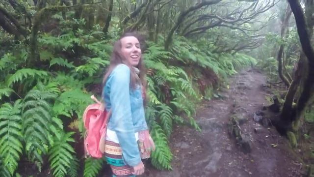 Bosque encantado Tenerife. Y playa de Benijo. ? ? смотреть онлайн