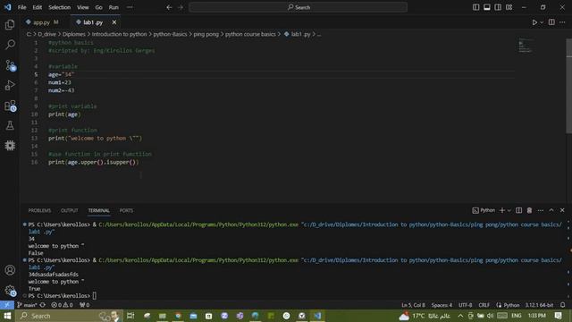 Python basics course_Lab 1