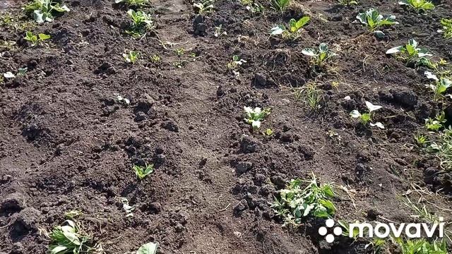 У МЕНЯ ШОК, чуть дар речи не потеряла//продам плитку//покрасила стены19 июня 2023 г.