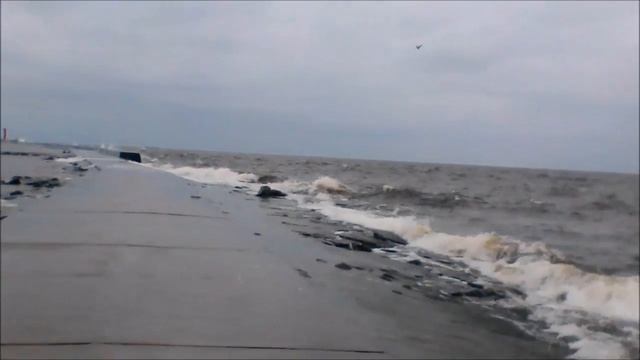 Как я учил свой телефон плавать! смотреть онлайн