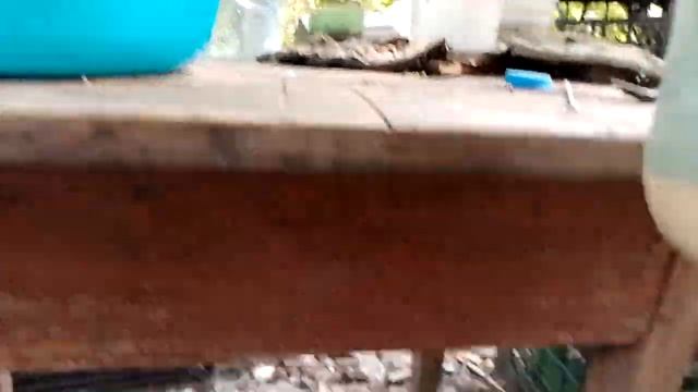 Разбавляю премикс Трау Нутришен Старт 4% в воде. Что получится у Вас пишите в комментариях.05.08.22 смотреть онлайн