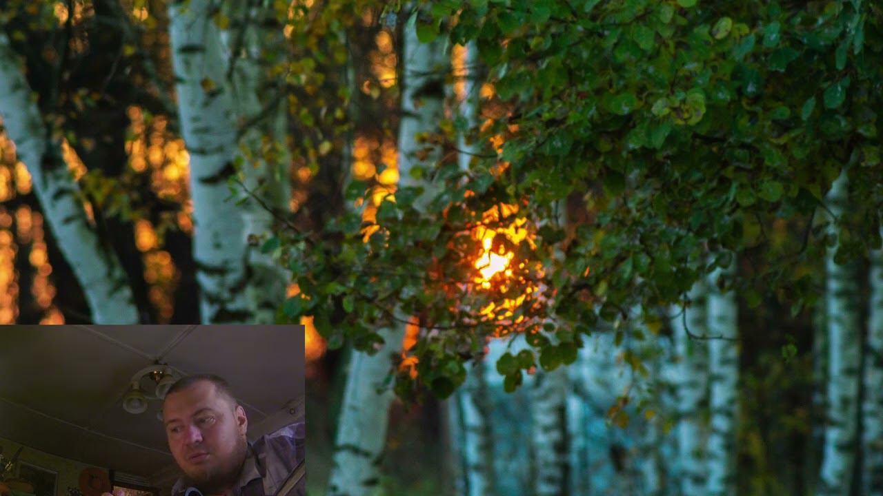 Секрет успешных людей так прост... смотреть онлайн