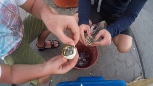 Самые ужасные блюда мира. Balut. Balot. Балут. Филиппины. Негрос. Philippines. Negros