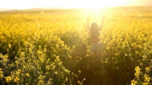 Красивая песня о любви - Любовь моя. Нежная песня. ⏩ Слушать. Премьера. Новинка. Онлайн.