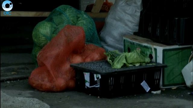 Несанкционированная торговля овощами и фруктами. Кто и как должен отвечать за придорожные лотки? смотреть онлайн