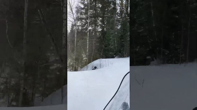 Ski doo skandic 600 весенний лес Томская область