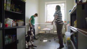 "НАШ СОЛНЕЧНЫЙ МИР"® (2018)