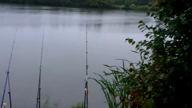 Ловля Карпа на донку ! Рыбалка в Голыгино . смотреть онлайн