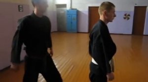 Джиу-Джитсу Феникс