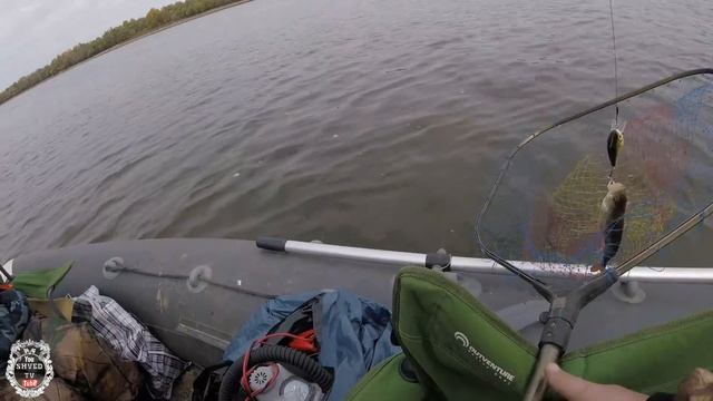 Крайний день - день экспериментов! Ахтуба рыболовная база Селитрон смотреть онлайн