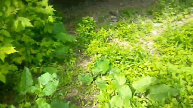 ГУЛЯЕМ С СЕСТРОЙ по страшным местам!!КТО ТО СТОИТ У ДЕРЕВА?!ПриключениЯ в г. Новокуйбышевск смотреть онлайн