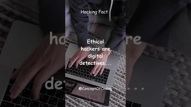 Ethical hackers are digital detectives... #webdesign #project #html5 #webdevelopment #w3schools