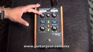 Moogerfooger MF102 Ring Modulator with Bass